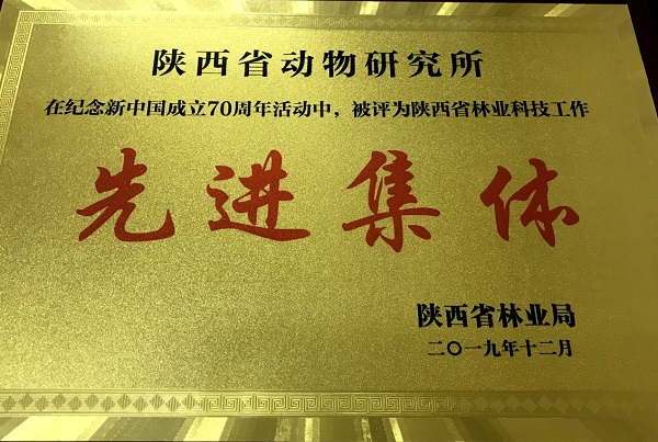 陜西省動物研究所榮獲“全省林業(yè)科技工作先進(jìn)集體”榮譽(yù)稱號