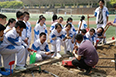 省科學(xué)院助力西安高新一中種植園建設